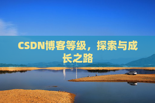CSDN博客等级,探索与成长之路
